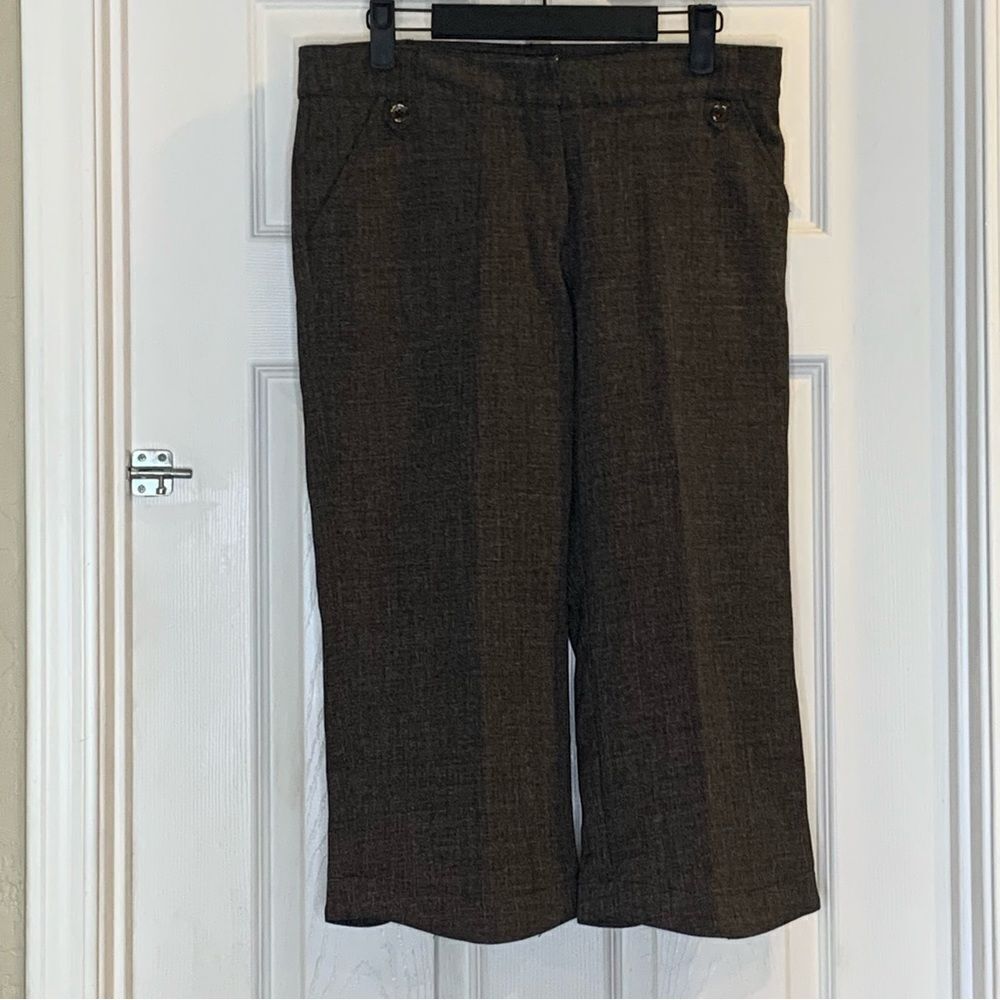 Lija Cropped Capri Women’s Golf Pants Size 6